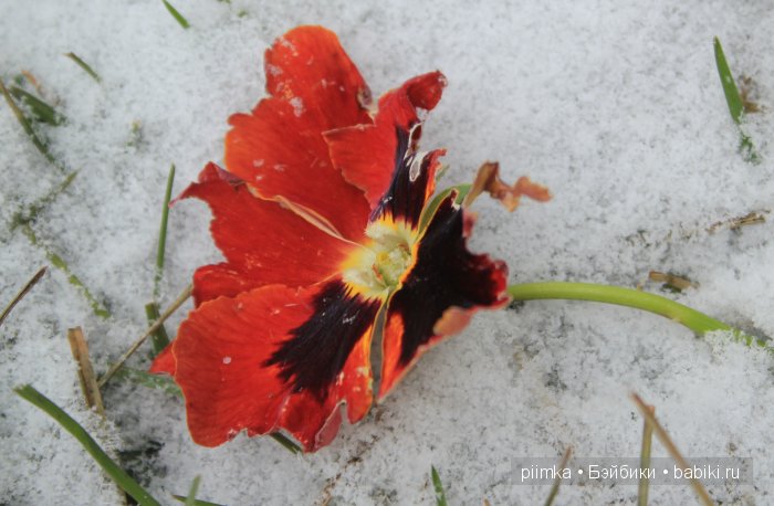 Навеяно осенними праздниками