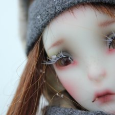 По следам новогодних каникул... или кто сказал "мяу"