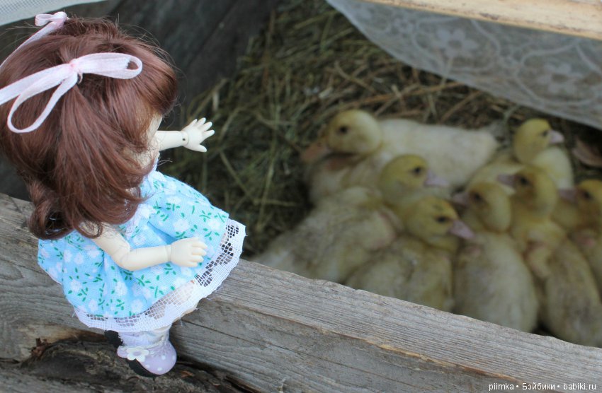 Каникулы в Простоквашино — Фотоистории с куклами BJD (БЖД): сериалы