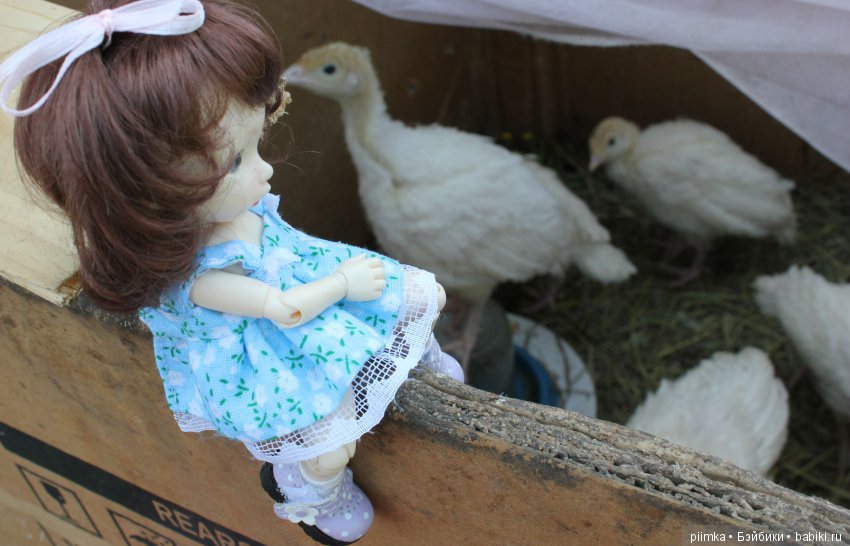 Каникулы в Простоквашино — Фотоистории с куклами BJD (БЖД): сериалы