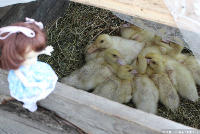 Каникулы в Простоквашино — Фотоистории с куклами BJD (БЖД): сериалы