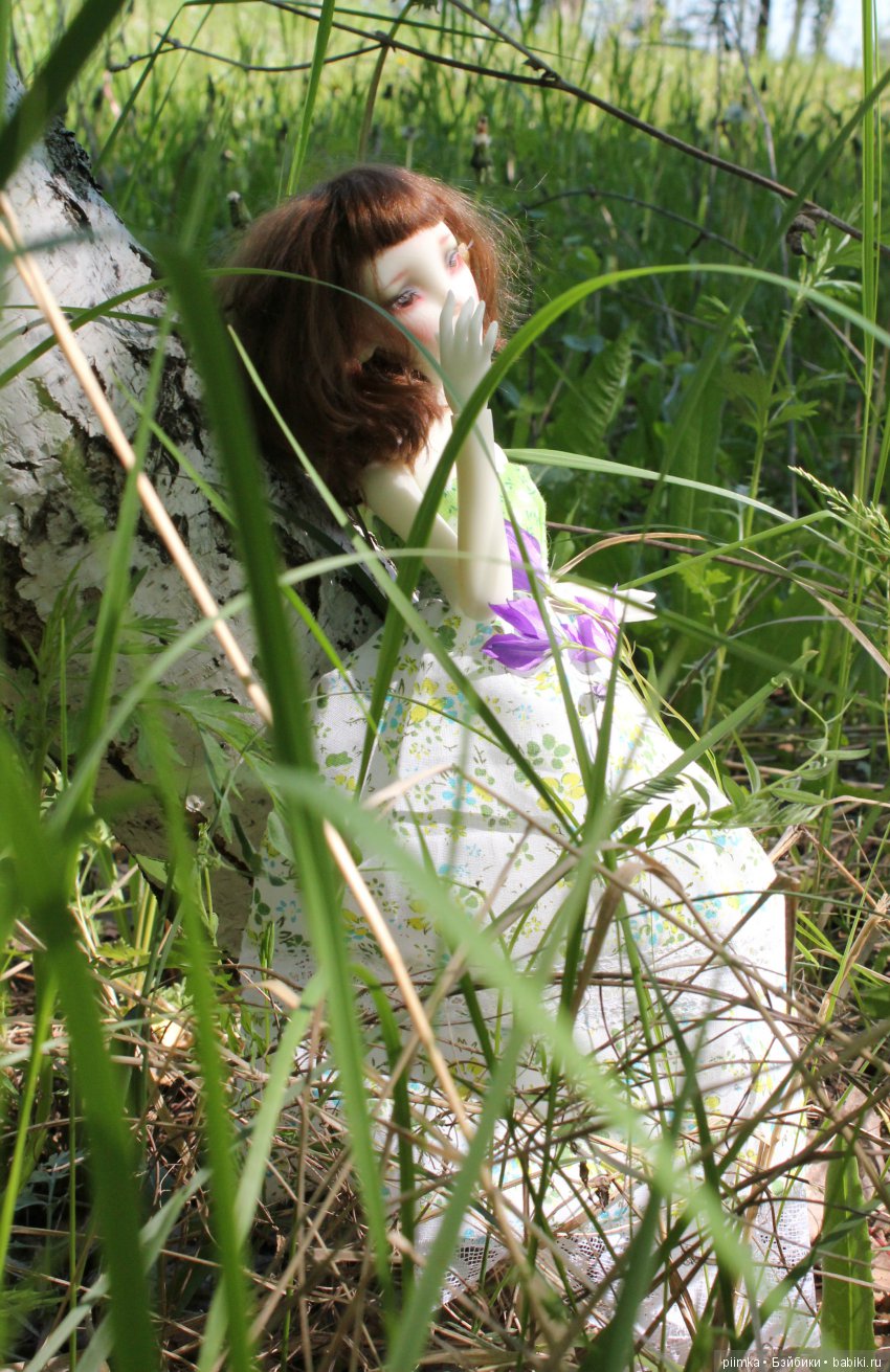 Каникулы в Простоквашино — Фотоистории с куклами BJD (БЖД): сериалы