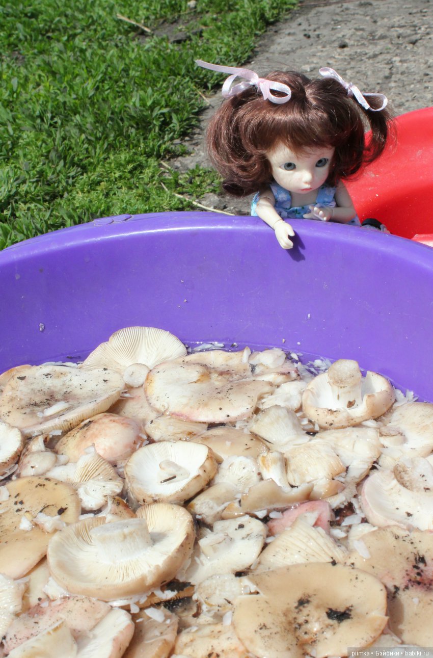 Каникулы в Простоквашино — Фотоистории с куклами BJD (БЖД): сериалы