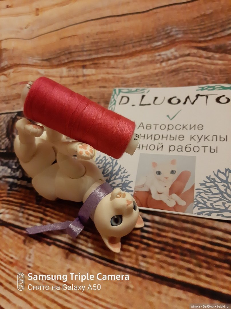 У меня завелся кот — Домашние фото авторских кукол: личные коллекции (фото 7)