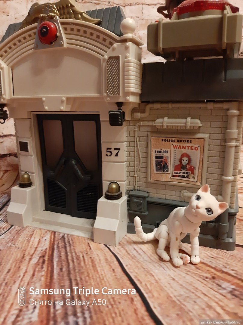 У меня завелся кот — Домашние фото авторских кукол: личные коллекции (фото 2)