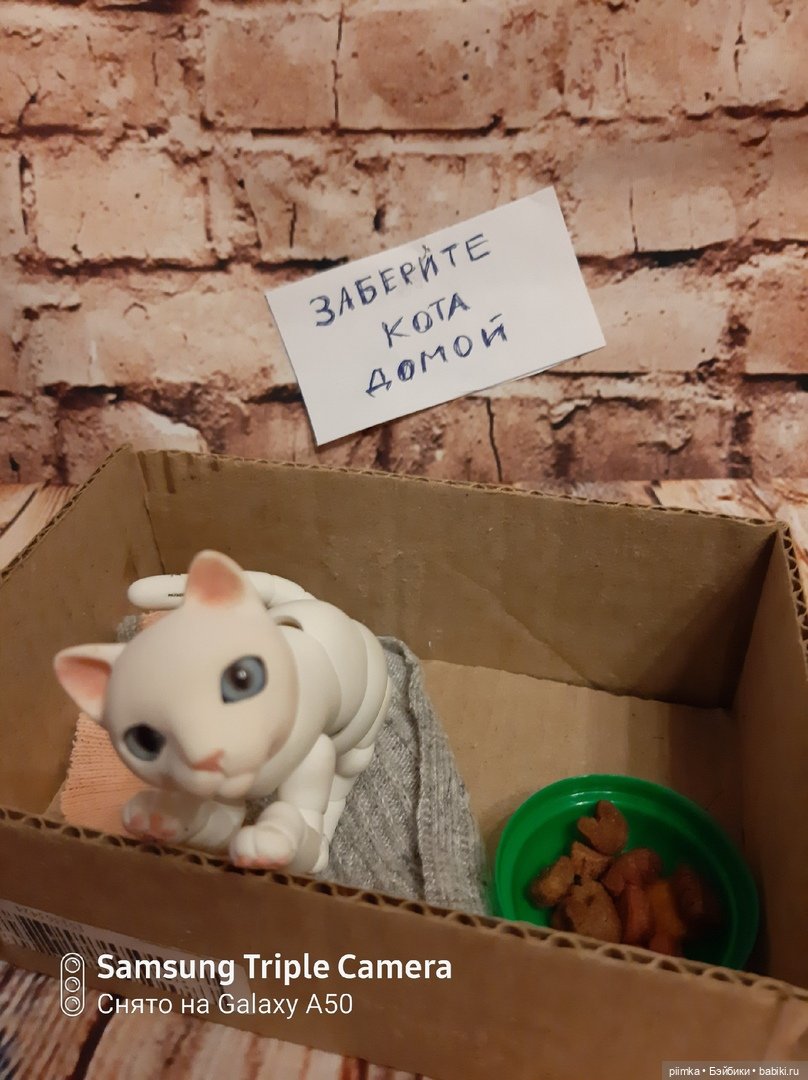 У меня завелся кот — Домашние фото авторских кукол: личные коллекции (фото 6)