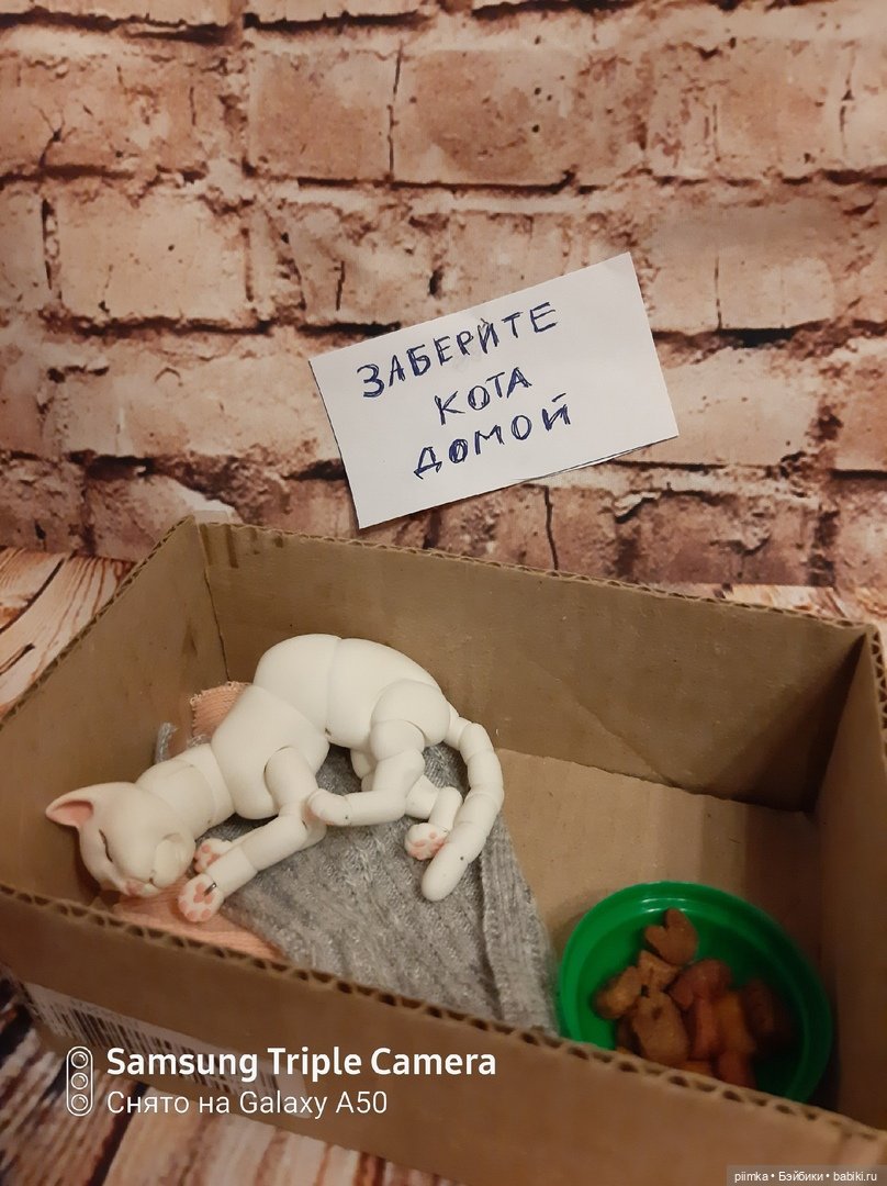 У меня завелся кот — Домашние фото авторских кукол: личные коллекции (фото 4)