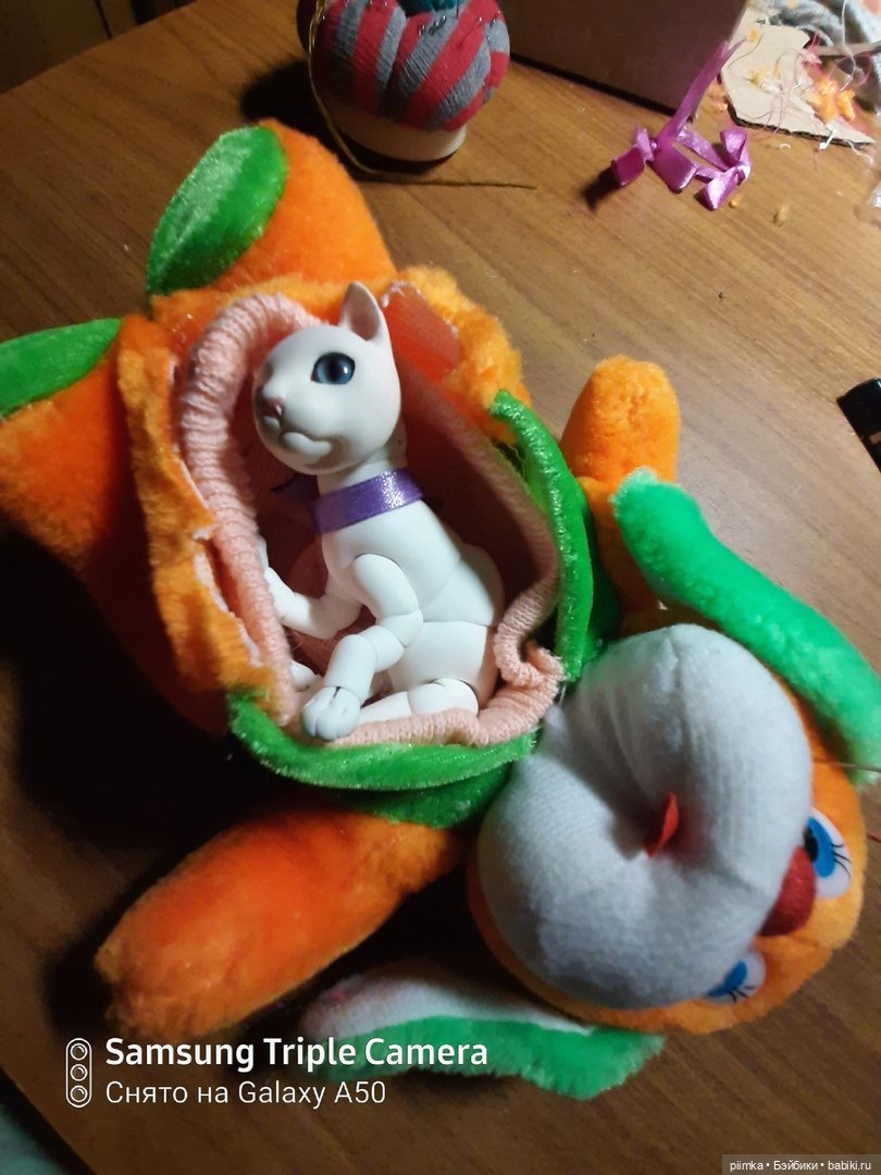 У меня завелся кот — Домашние фото авторских кукол: личные коллекции