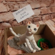 У меня завелся кот