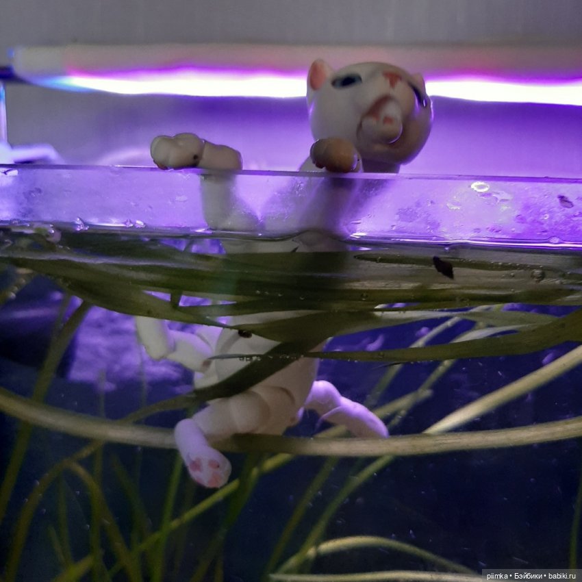 Утренняя рыбалка — Фотоистории с куклами BJD (БЖД): сериалы