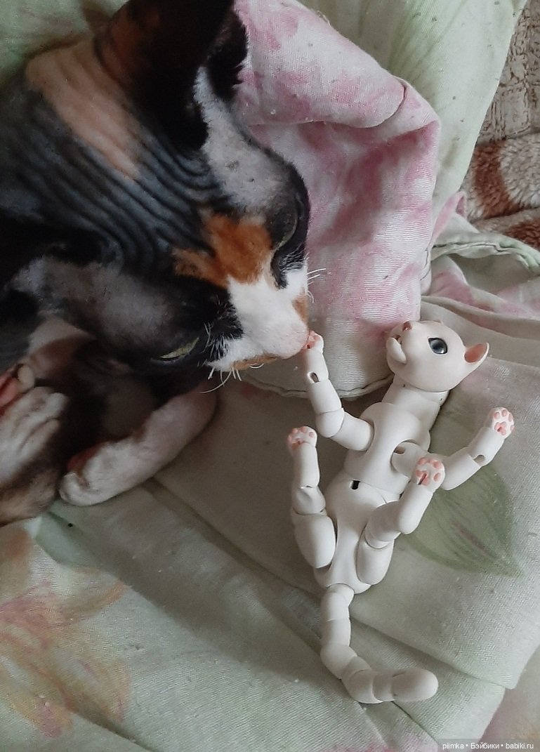 Утренняя рыбалка — Фотоистории с куклами BJD (БЖД): сериалы