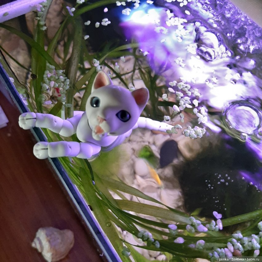 Утренняя рыбалка — Фотоистории с куклами BJD (БЖД): сериалы (фото 9)