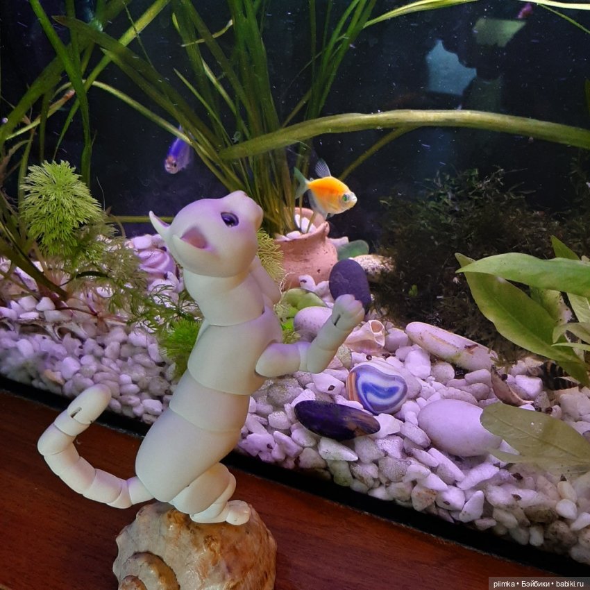 Утренняя рыбалка — Фотоистории с куклами BJD (БЖД): сериалы (фото 2)