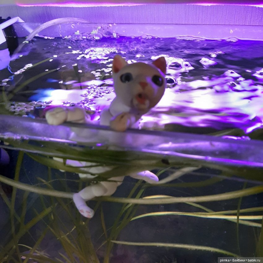 Утренняя рыбалка — Фотоистории с куклами BJD (БЖД): сериалы (фото 10)