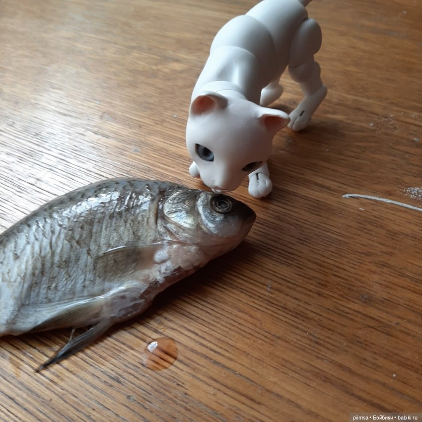 Утренняя рыбалка — Фотоистории с куклами BJD (БЖД): сериалы