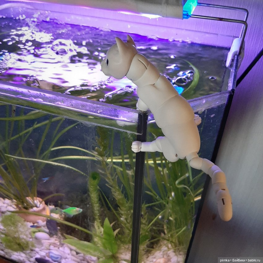 Утренняя рыбалка — Фотоистории с куклами BJD (БЖД): сериалы (фото 5)