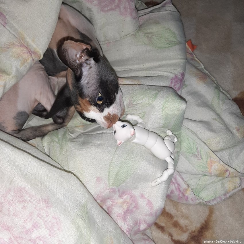 Утренняя рыбалка — Фотоистории с куклами BJD (БЖД): сериалы