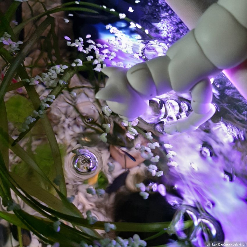 Утренняя рыбалка — Фотоистории с куклами BJD (БЖД): сериалы (фото 8)