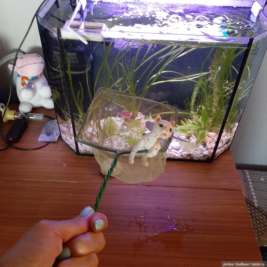 Утренняя рыбалка — Фотоистории с куклами BJD (БЖД): сериалы