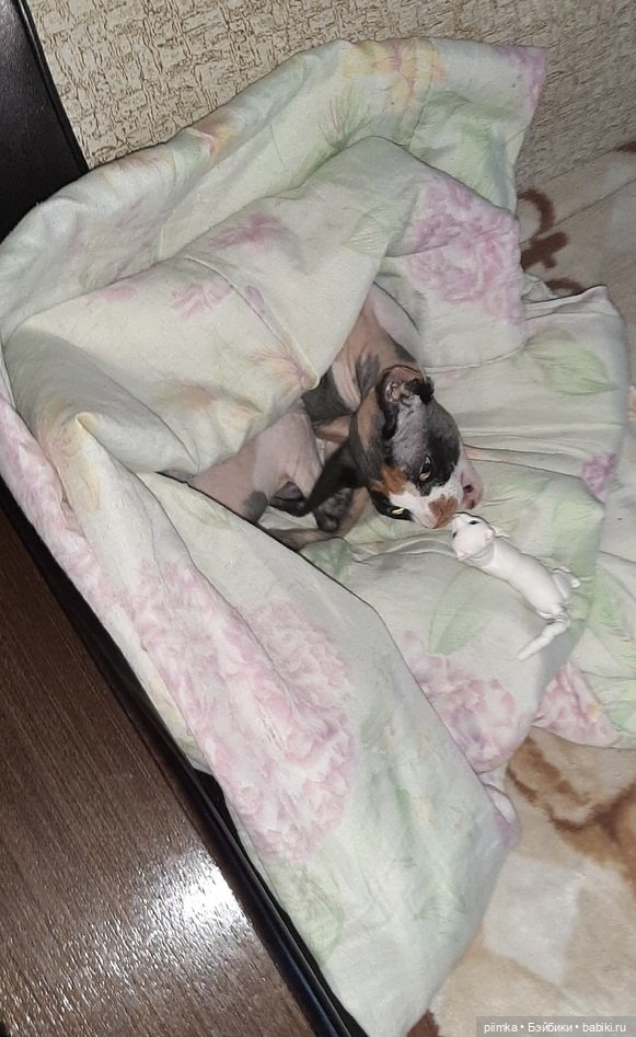 Утренняя рыбалка — Фотоистории с куклами BJD (БЖД): сериалы