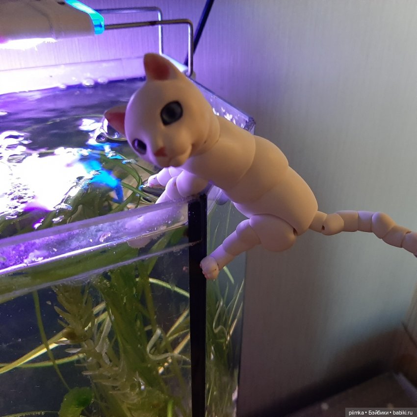 Утренняя рыбалка — Фотоистории с куклами BJD (БЖД): сериалы (фото 6)