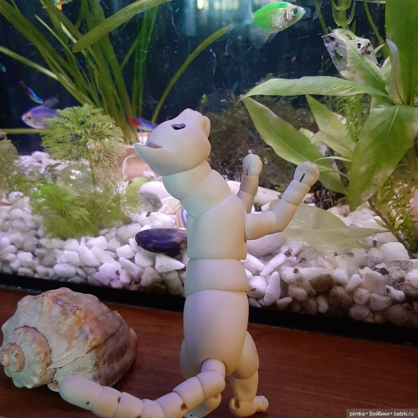 Утренняя рыбалка — Фотоистории с куклами BJD (БЖД): сериалы (фото 3)