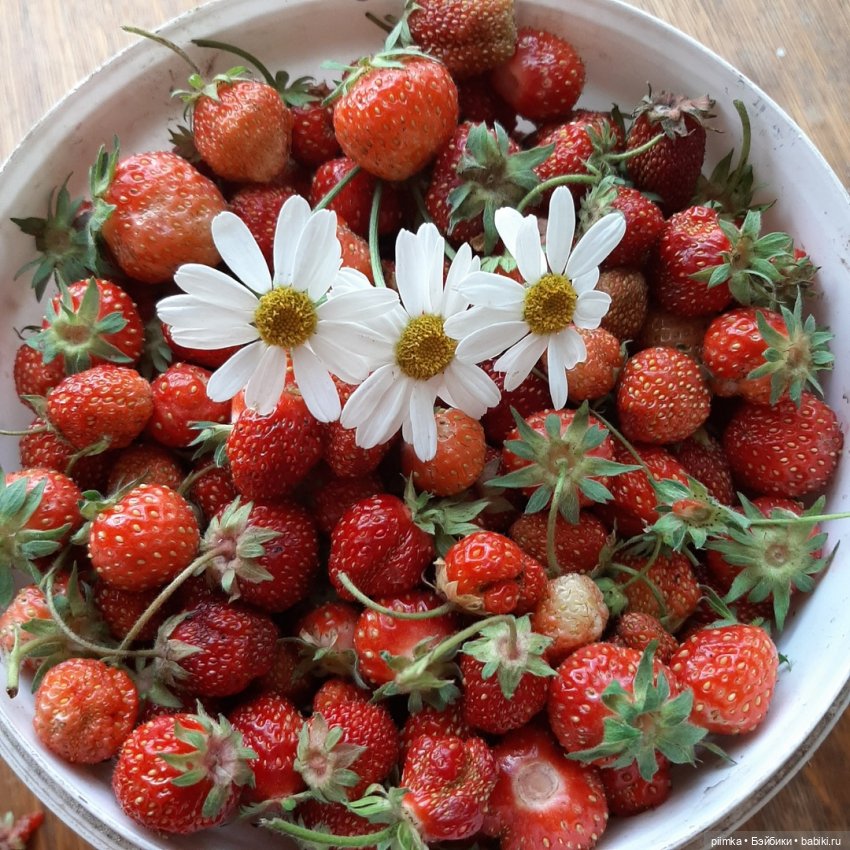 Утренняя рыбалка — Фотоистории с куклами BJD (БЖД): сериалы