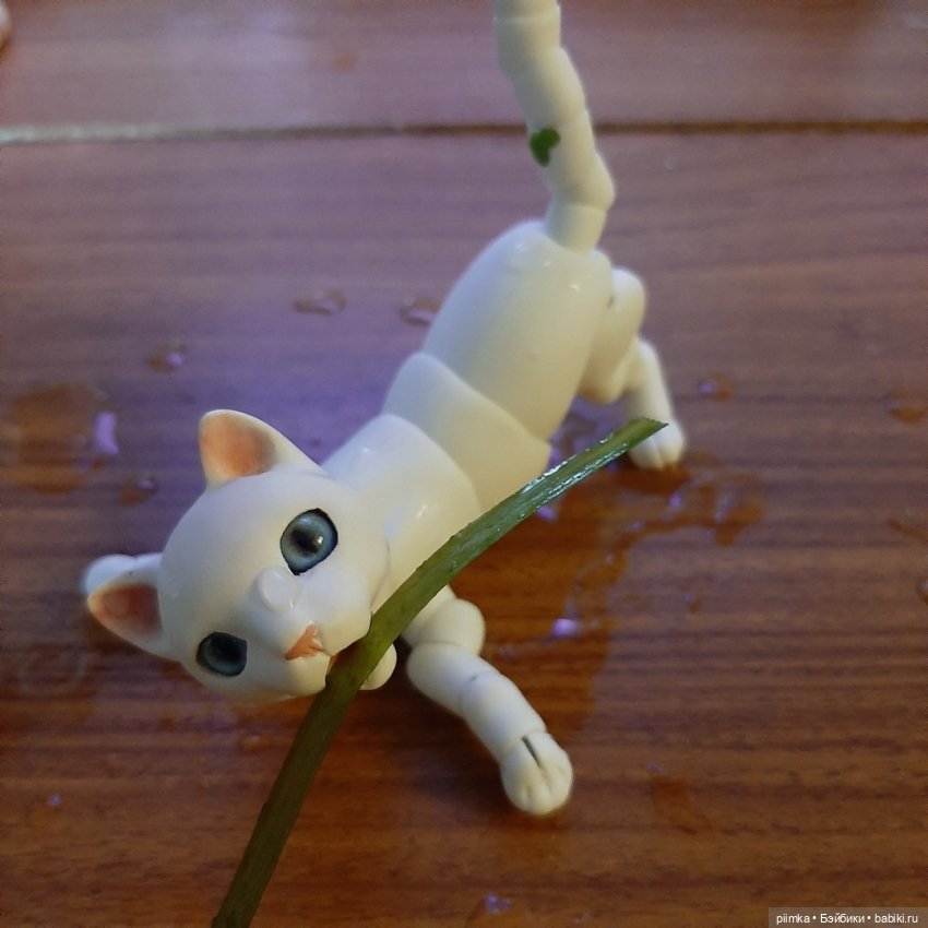 Утренняя рыбалка — Фотоистории с куклами BJD (БЖД): сериалы