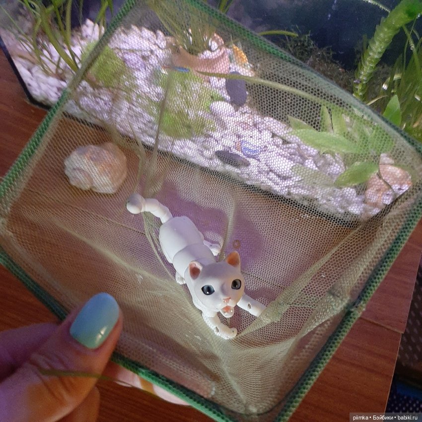 Утренняя рыбалка — Фотоистории с куклами BJD (БЖД): сериалы