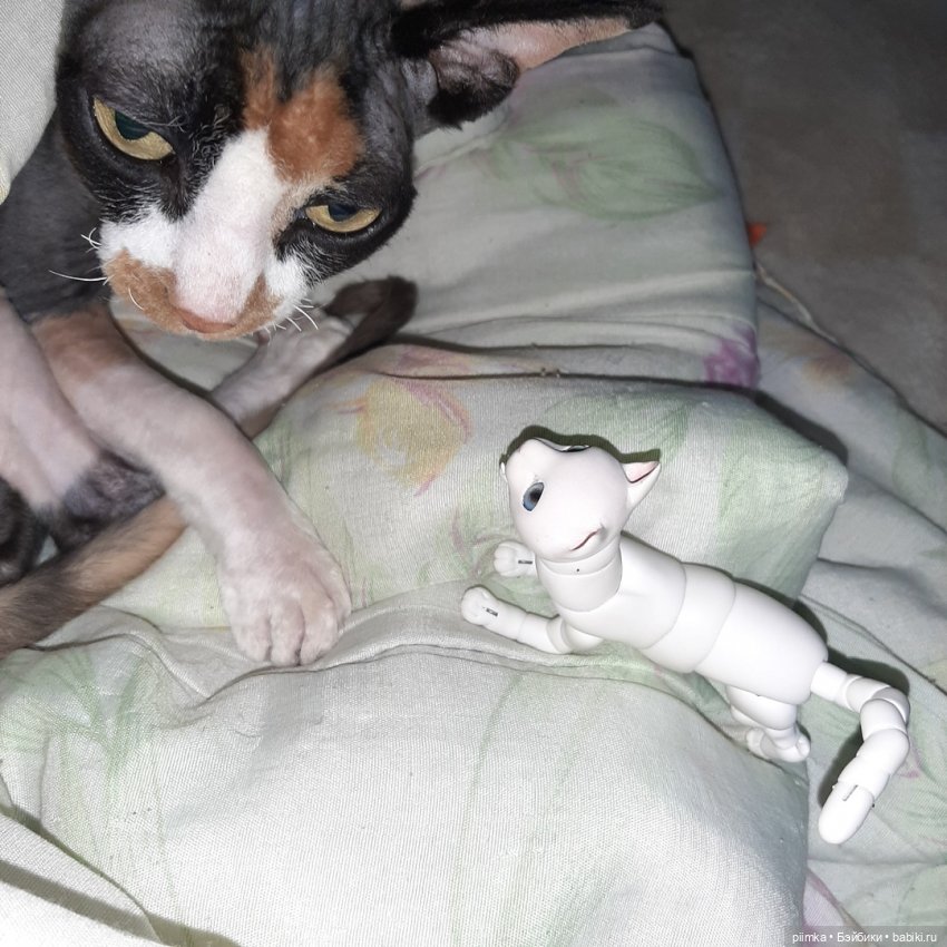 Утренняя рыбалка — Фотоистории с куклами BJD (БЖД): сериалы