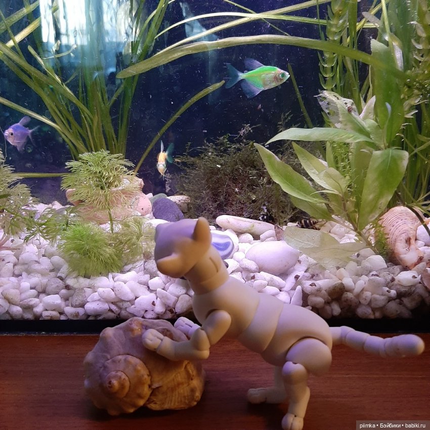 Утренняя рыбалка — Фотоистории с куклами BJD (БЖД): сериалы (фото 4)