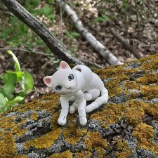 Утренняя рыбалка