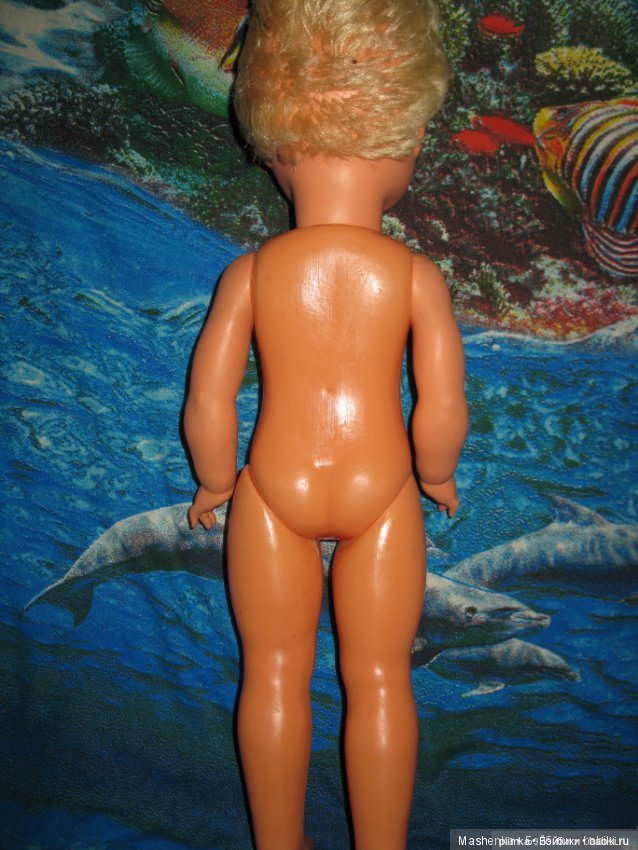 Запоздалое начало учебного года (фото 2)