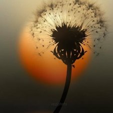 Помогите пожалуйста