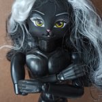 Гибрид Obitsu/Catwalk Kitties Jet (Черный скинтон)