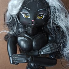 Гибрид Obitsu/Catwalk Kitties Jet (Черный скинтон)
