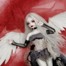 Красное на белом