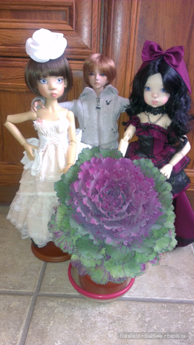 Знакомьтесь, мои куколки от Кайе Виггз, Kaye Wiggs и мальчик Даниил (Iplehouse)