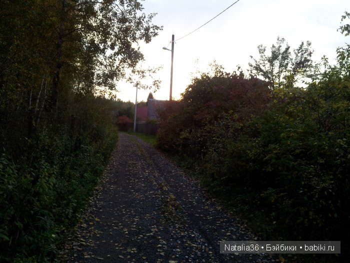 Осень. Грибная пора — Туризм и путешествия: фотоотчеты из поездок