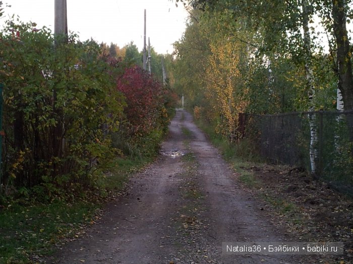 Осень. Грибная пора — Туризм и путешествия: фотоотчеты из поездок