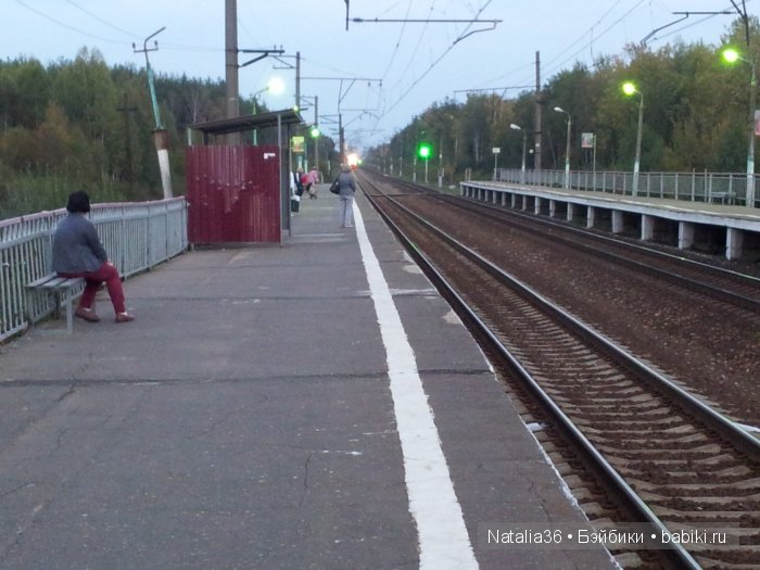 Осень. Грибная пора — Туризм и путешествия: фотоотчеты из поездок