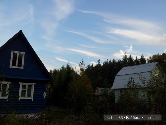 Осень. Грибная пора — Туризм и путешествия: фотоотчеты из поездок