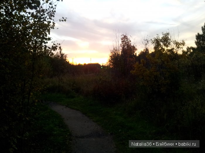 Осень. Грибная пора — Туризм и путешествия: фотоотчеты из поездок