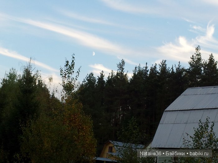 Осень. Грибная пора — Туризм и путешествия: фотоотчеты из поездок
