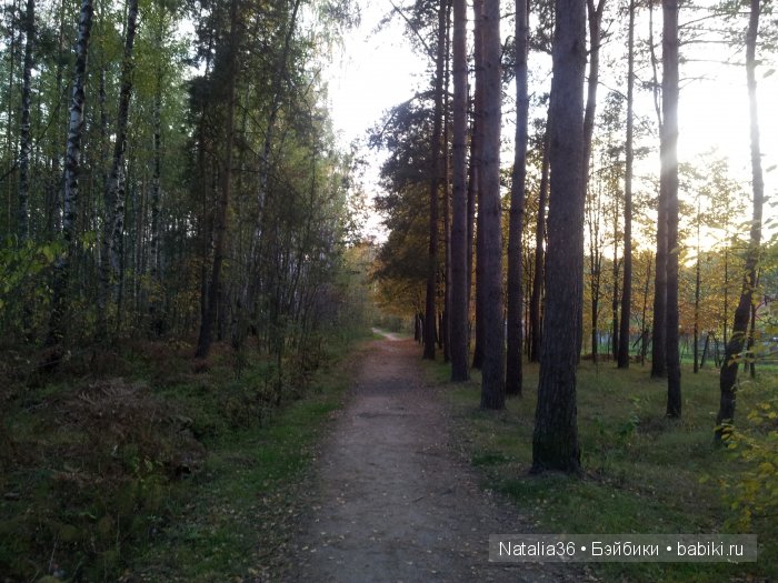 Осень. Грибная пора — Туризм и путешествия: фотоотчеты из поездок