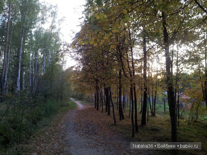 Осень. Грибная пора — Туризм и путешествия: фотоотчеты из поездок