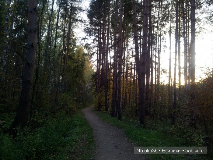 Осень. Грибная пора — Туризм и путешествия: фотоотчеты из поездок