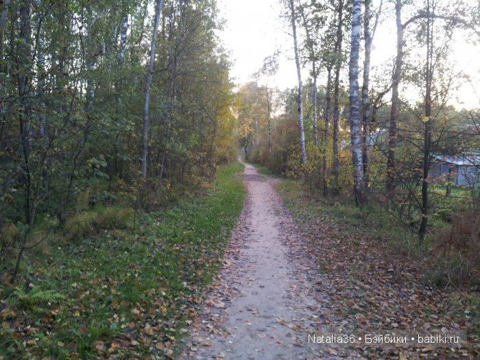 Осень. Грибная пора — Туризм и путешествия: фотоотчеты из поездок