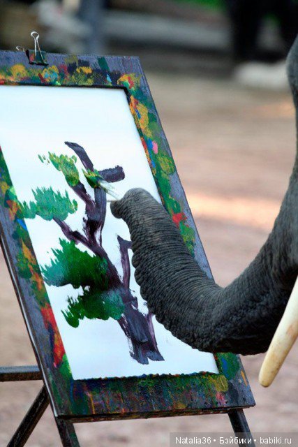Рисунки для срисовки — слоники (40 фото)