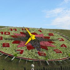 Цветочные часы